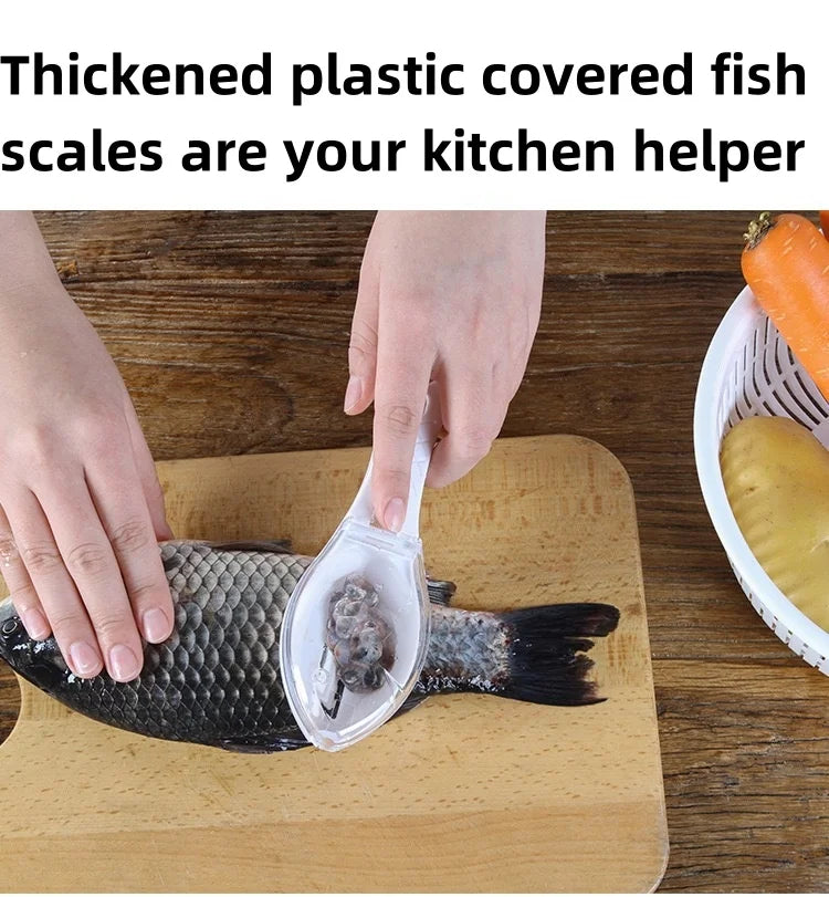 Fish Scale Scraper with Lid