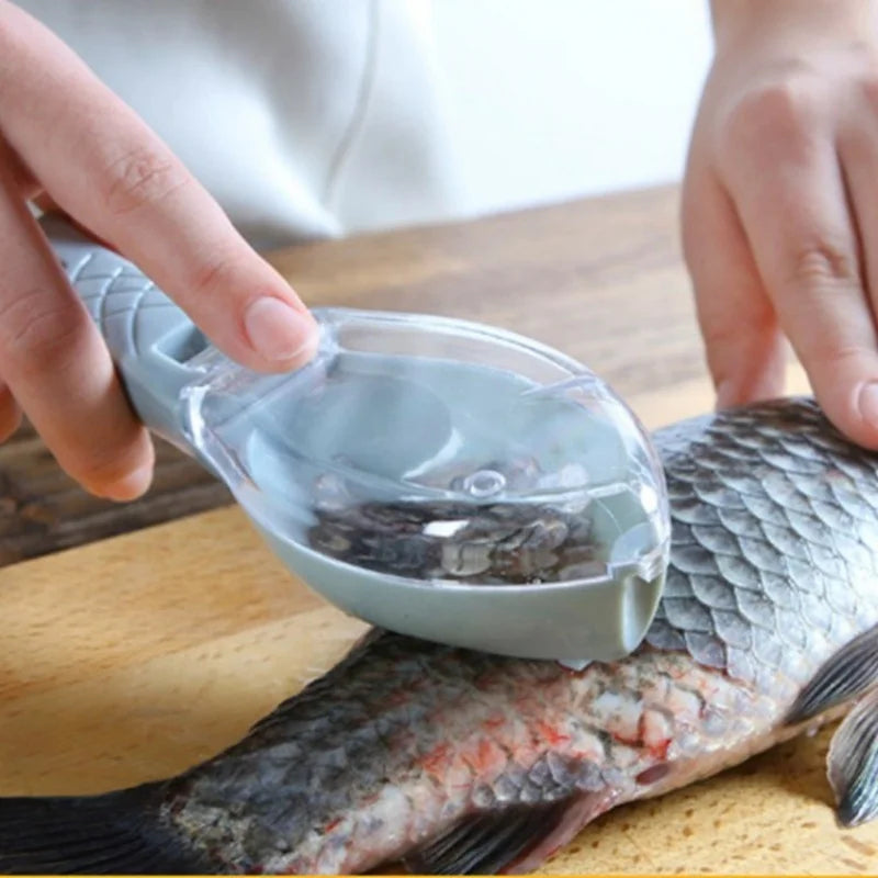 Fish Scale Scraper with Lid
