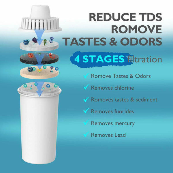 Water Filter Pitcher (10-Cup, 4-Stage Filtration)