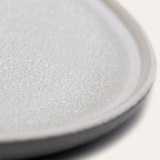 Ddoria Stoneware Dinner Plate (Granite Grey)