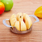 Stainless Steel Apple Slicer & Corer